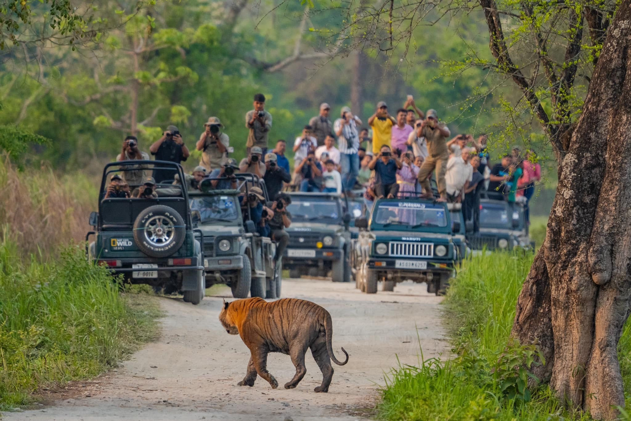  Kaziranga Nation Park Tour Package